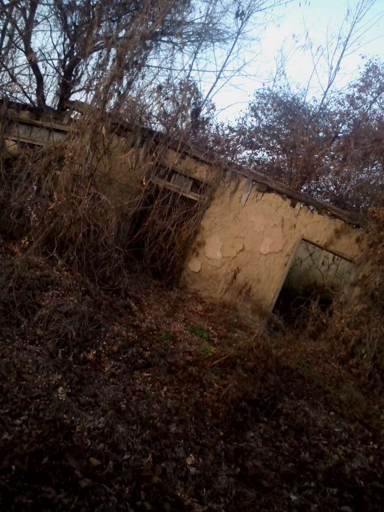 Закинуті місця села Васьківка - Васьковка