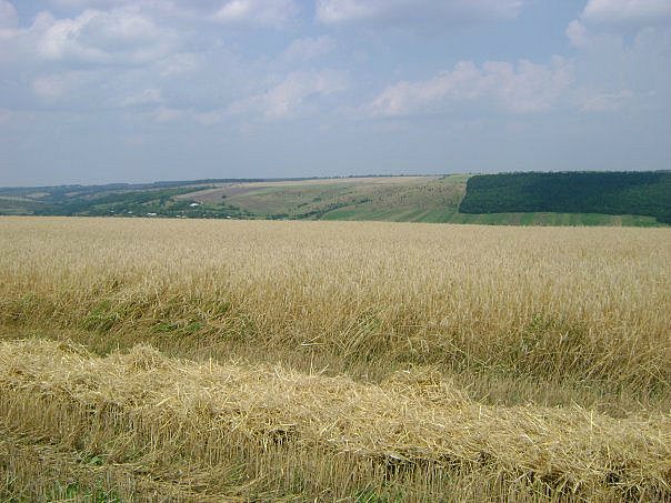 Життя селянське - Будеї