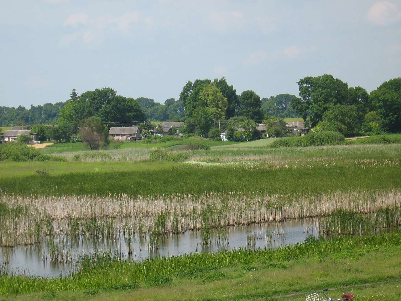 моє село - Klynyny