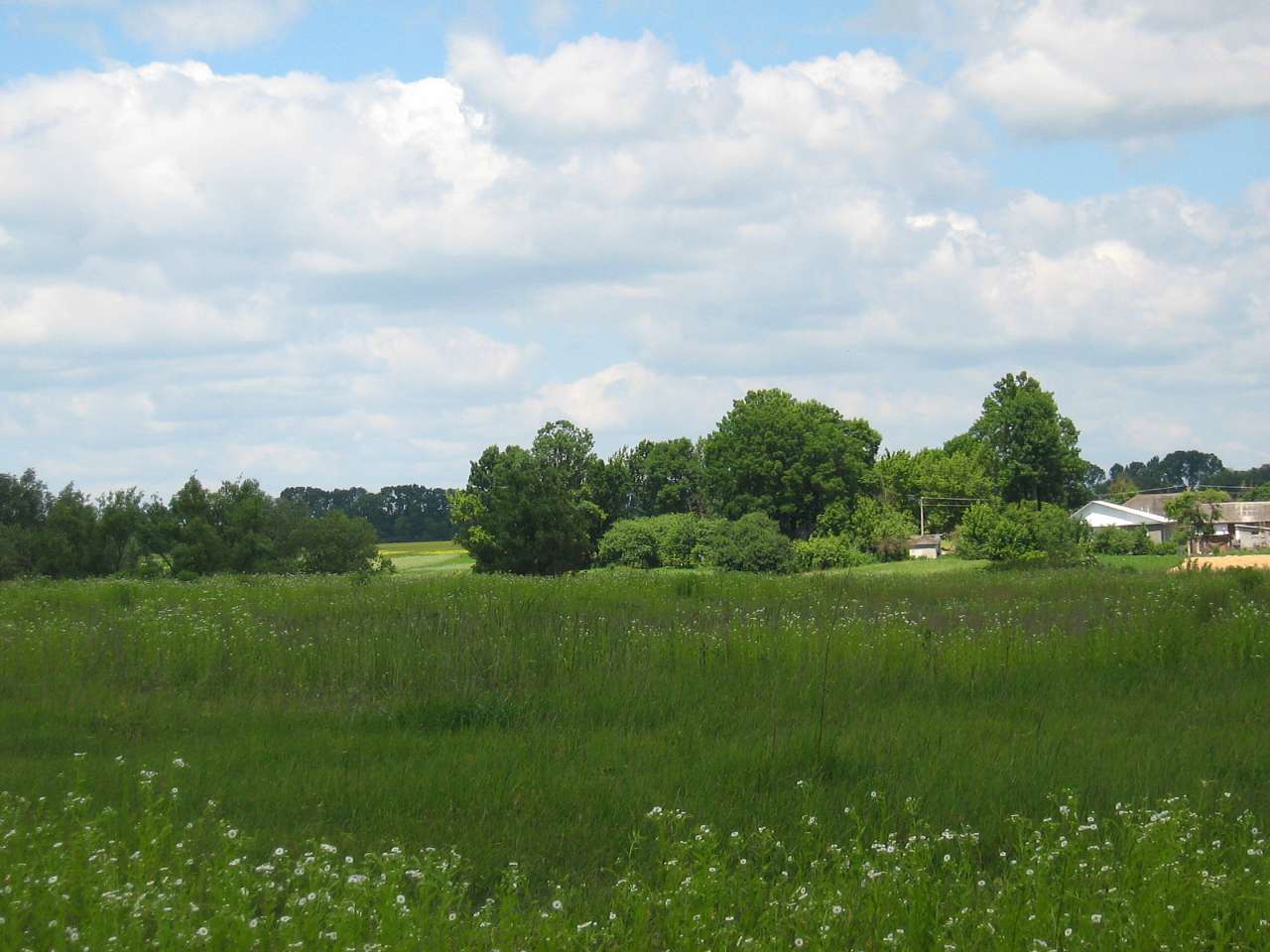 моє село - Klynyny