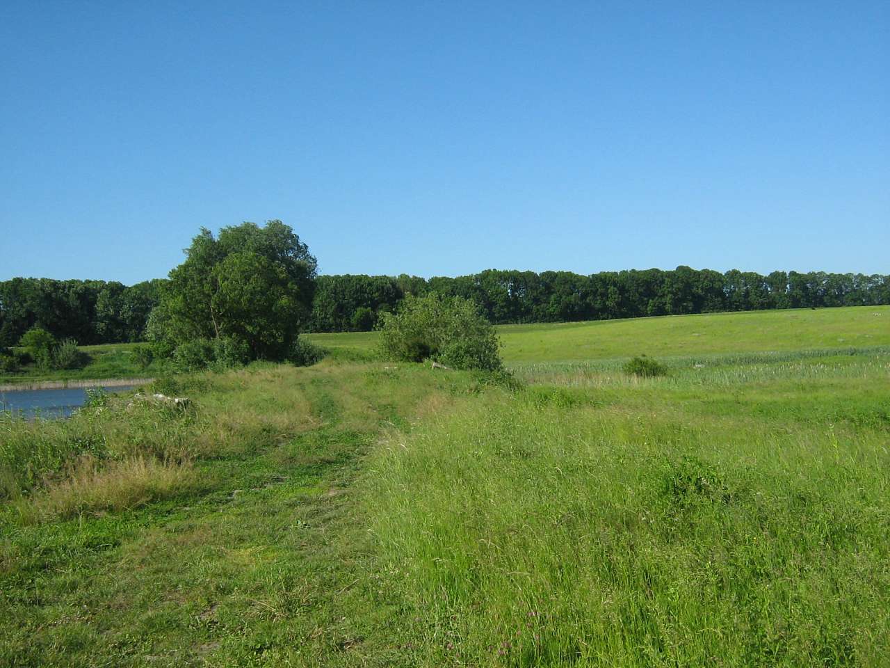 моє село - Klynyny