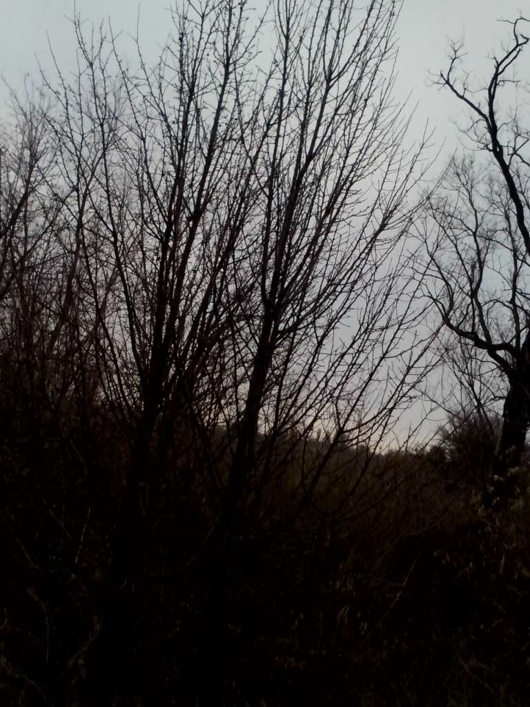 Закинуті місця хутора Горбанівка - Горбанівка