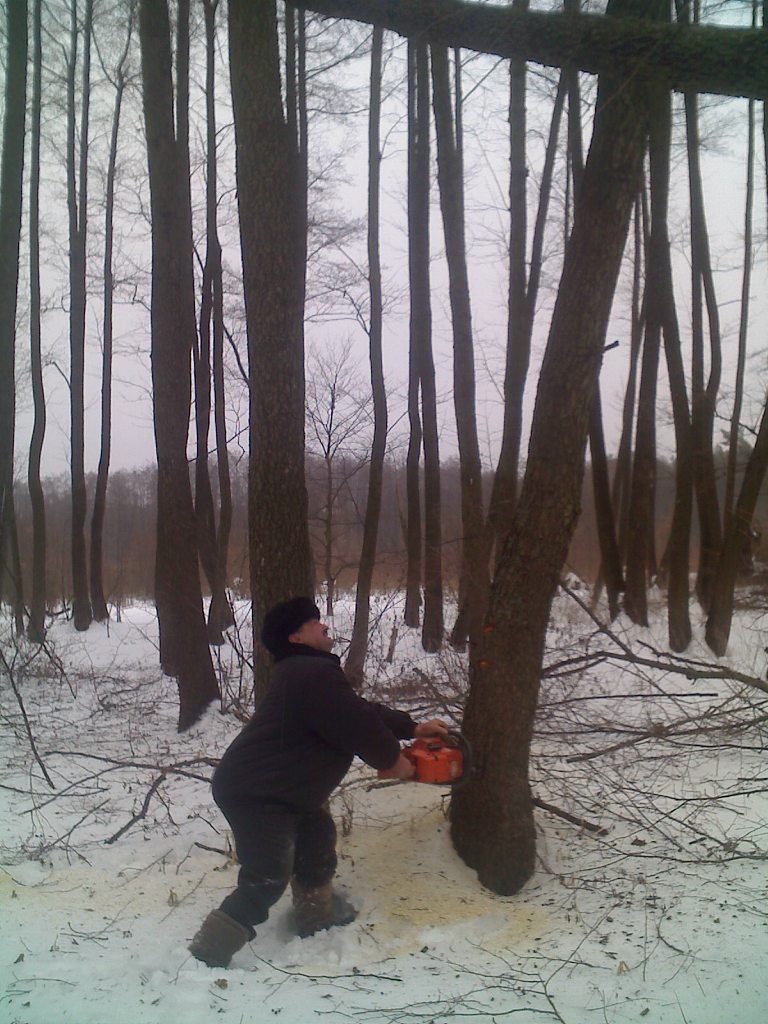 Загрунівка з panoramio.com - Загрунівка