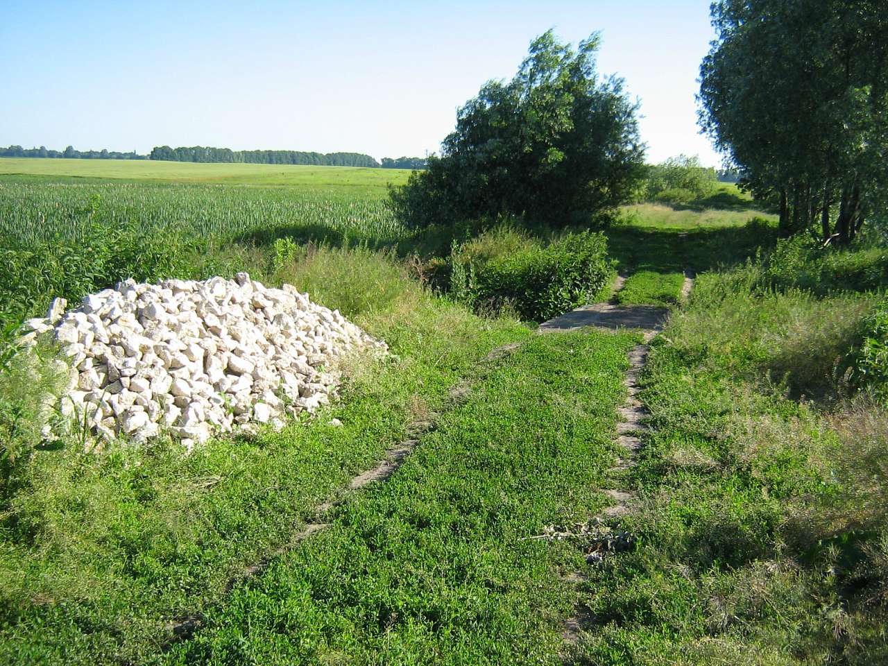 моє село - Клинины