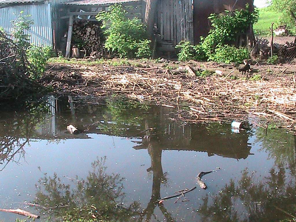 моє село - Клинини