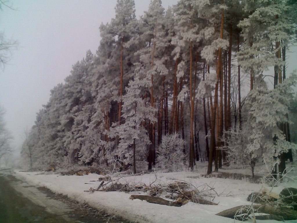 Загрунівка з panoramio.com - Загрунівка