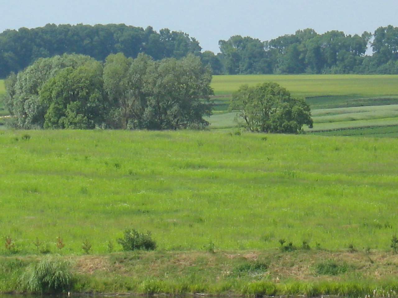 моє село - Klynyny