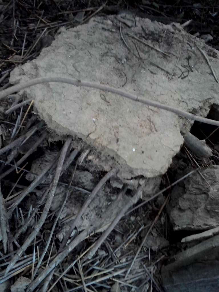 Закинуті місця села Васьківка - Васьківка