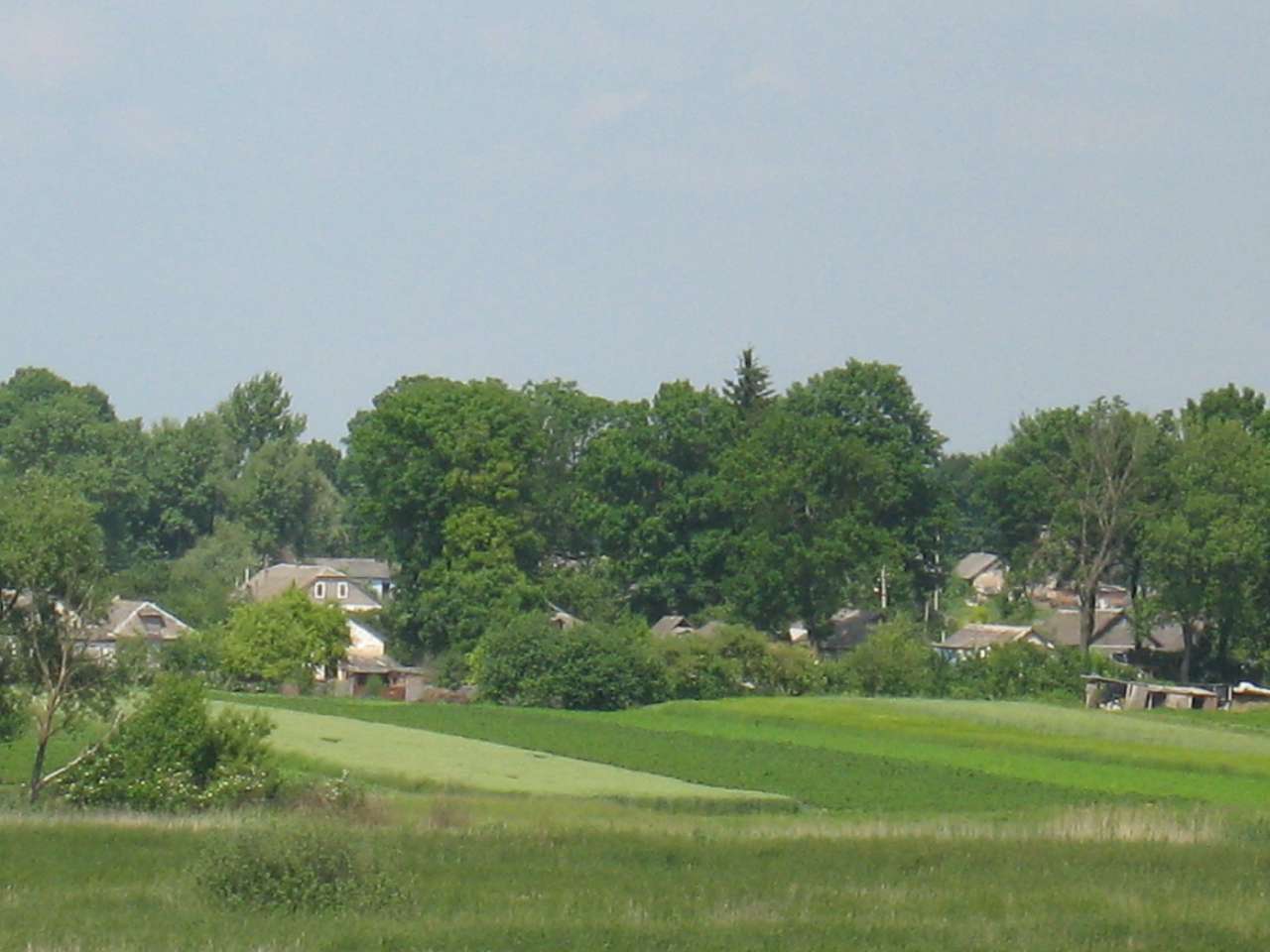 моє село - Klynyny