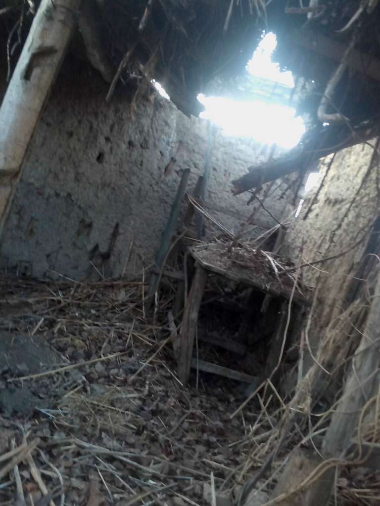 Закинуті місця села Васьківка - Васьківка