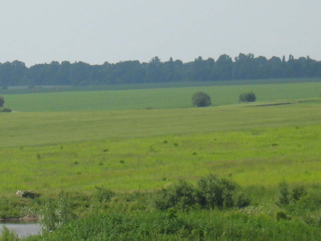 моє село - Клинини