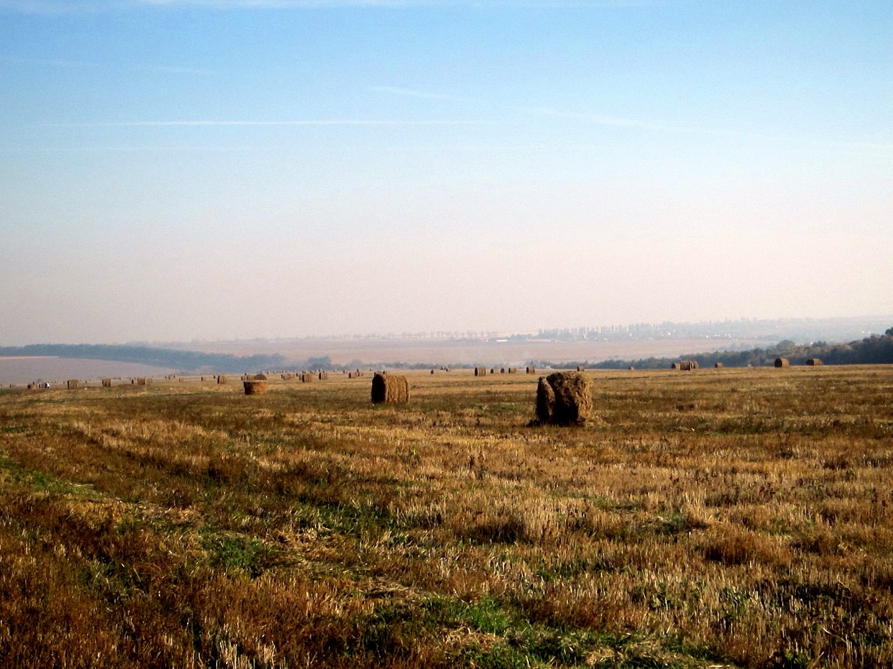 Поля Кіровоградщини - Глодоси