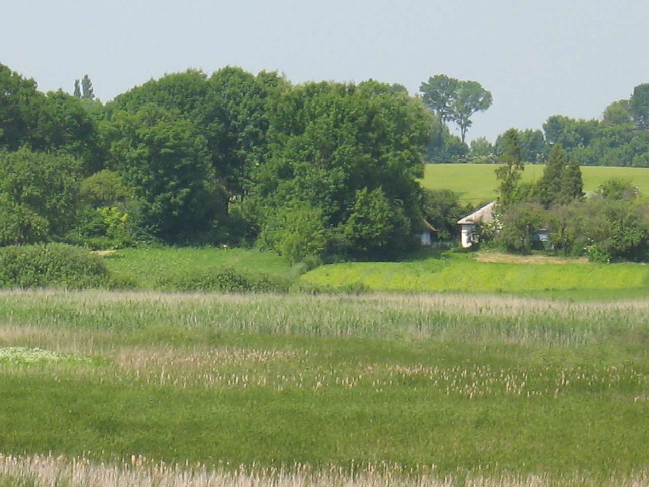 моє село - Klynyny