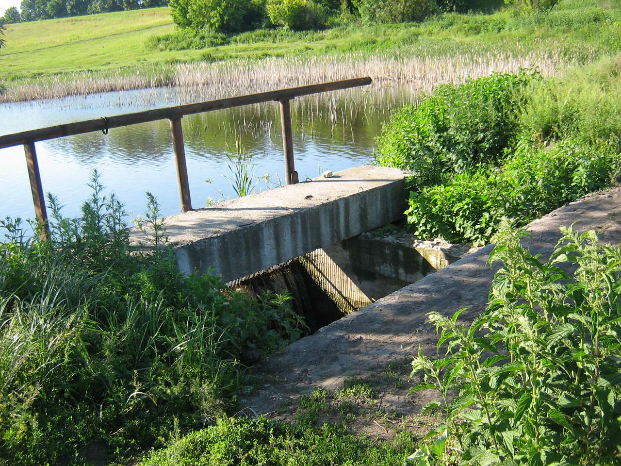 моє село - Klynyny