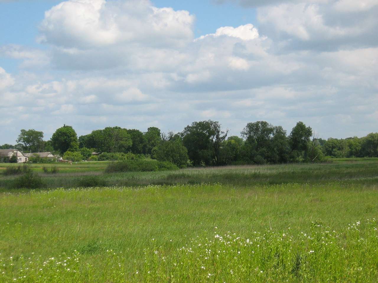 моє село - Klynyny