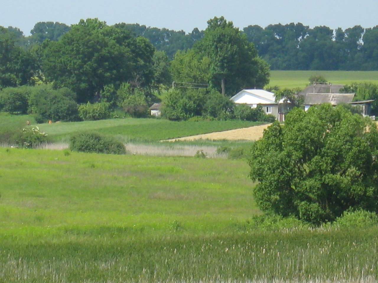 моє село - Klynyny