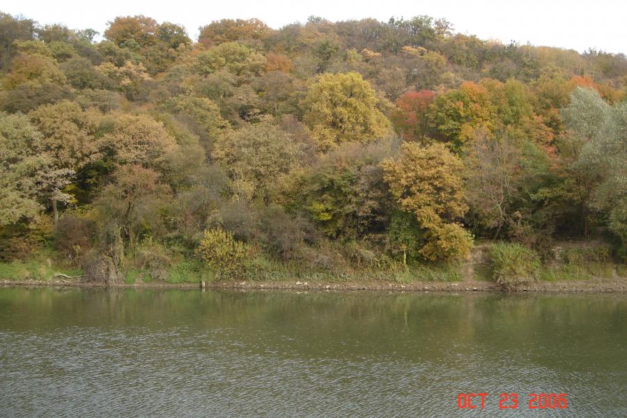 дністер - Журавно