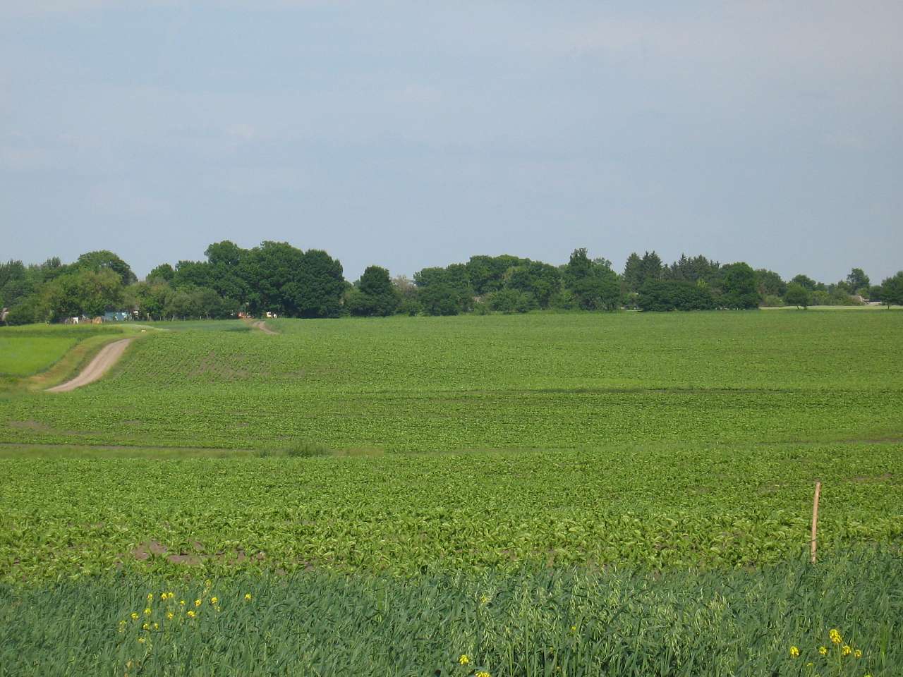 моє село - Klynyny