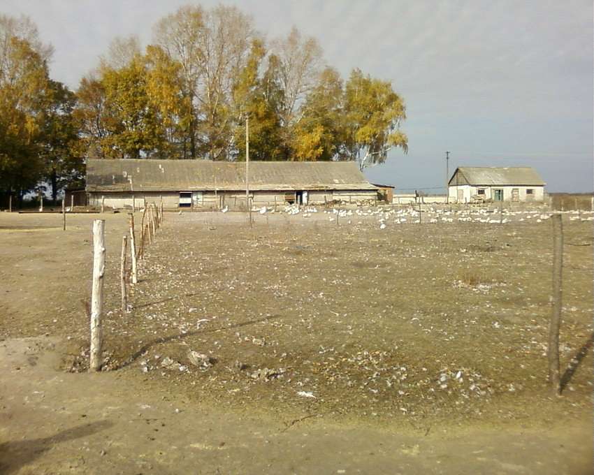  Вже історія. - Смелое