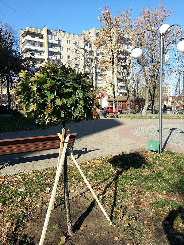 Пам'яті Василя Симоненко - Biyivtsi