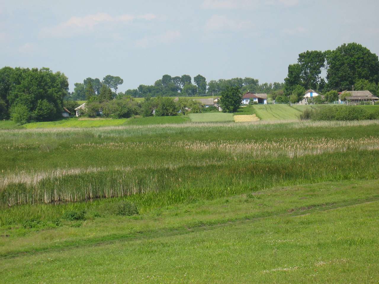 моє село - Klynyny