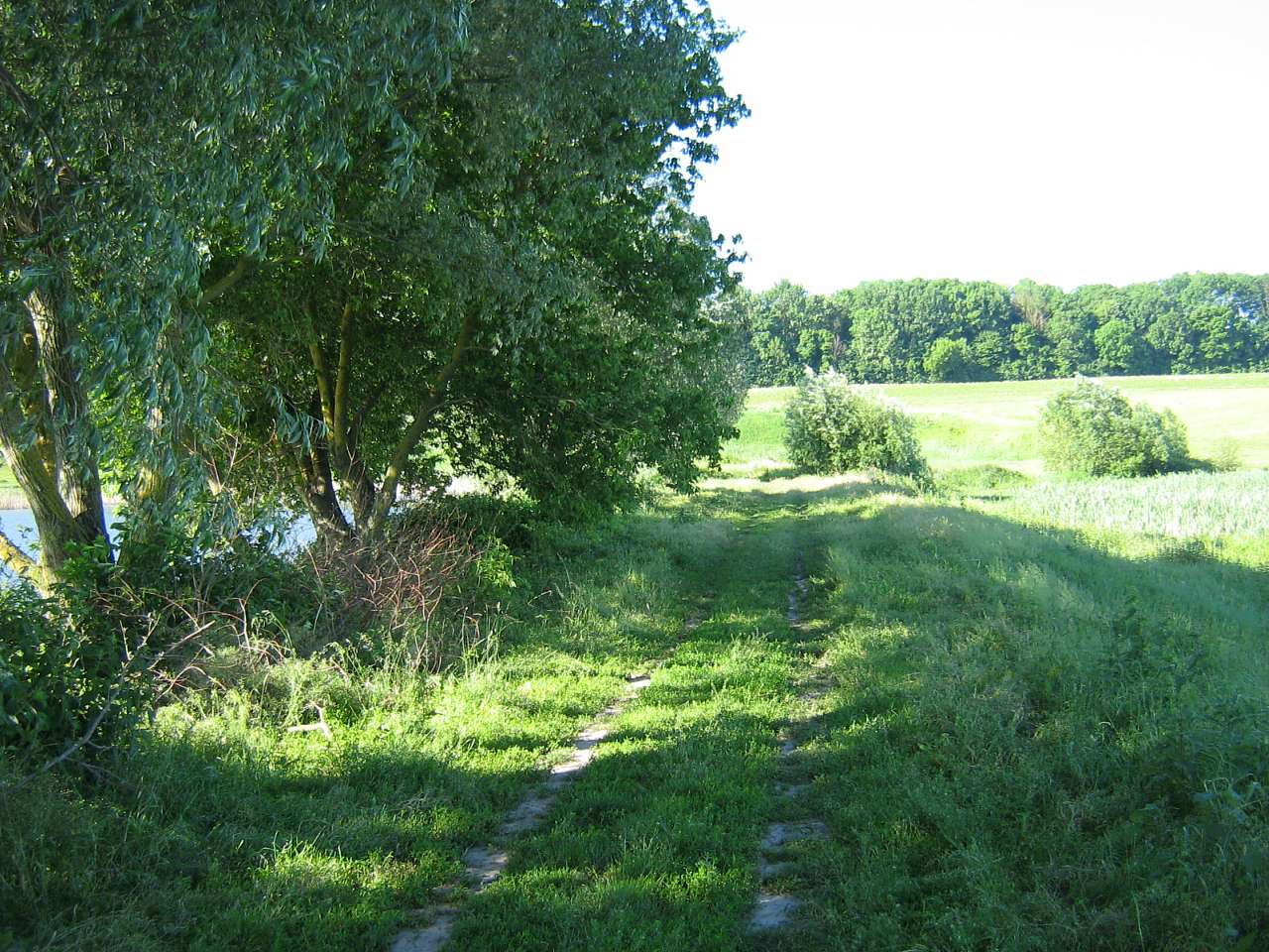 моє село - Klynyny