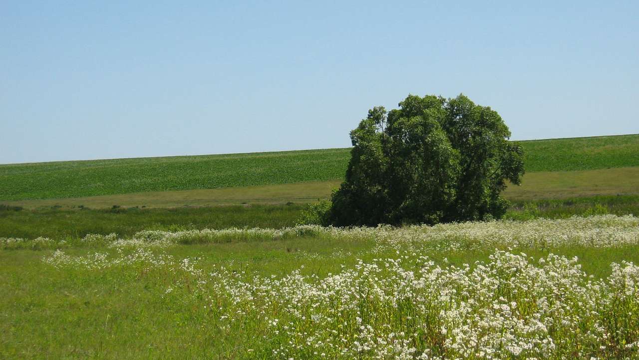 моє село - Клинины