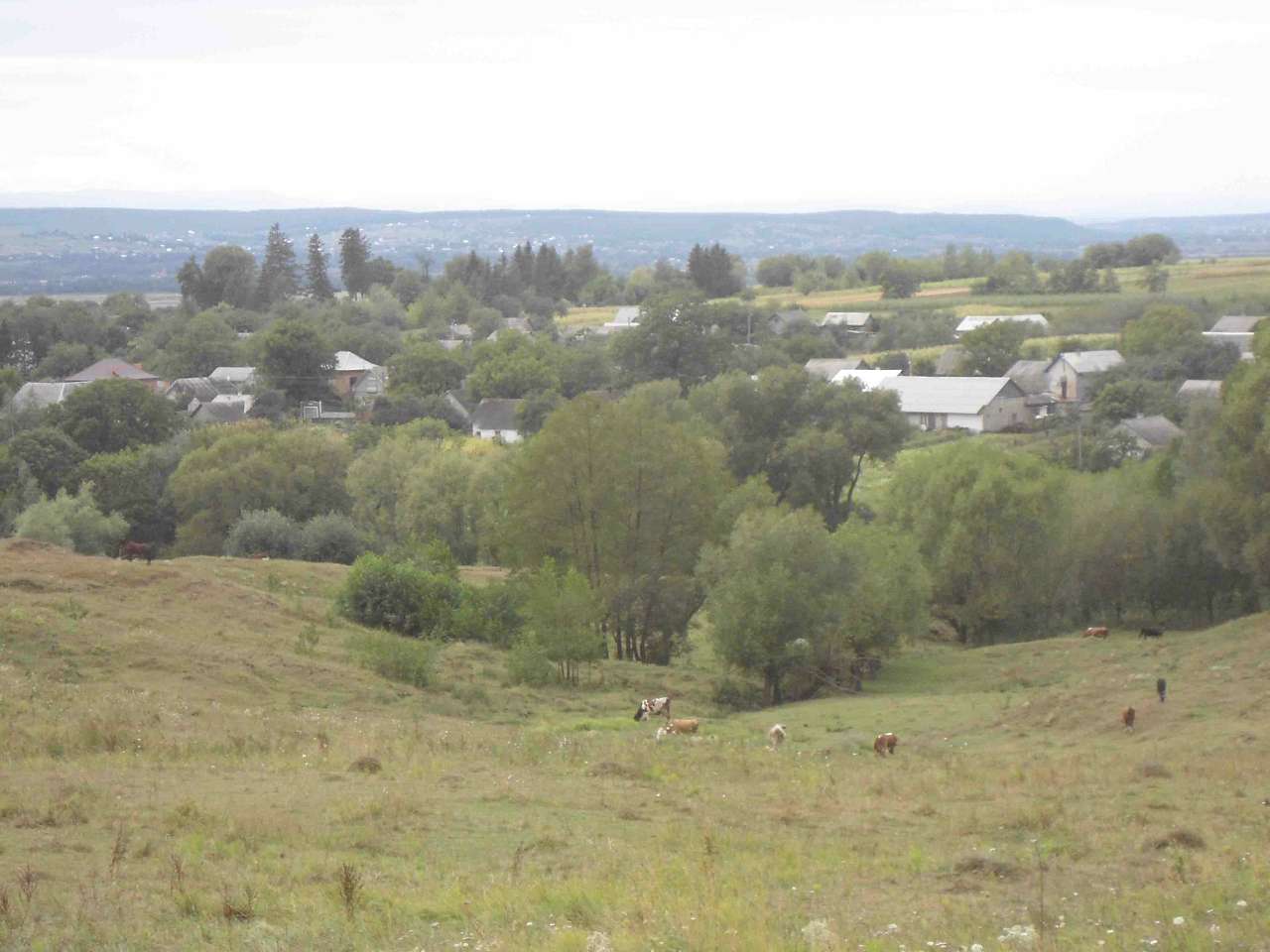 Стерче - окраса Глибоччини - Стерче