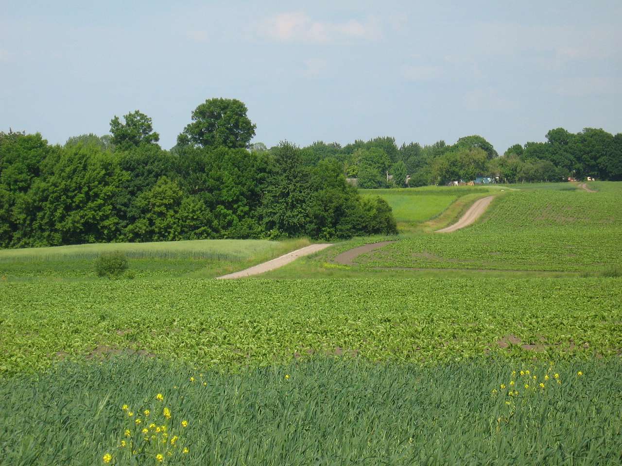 моє село - Klynyny