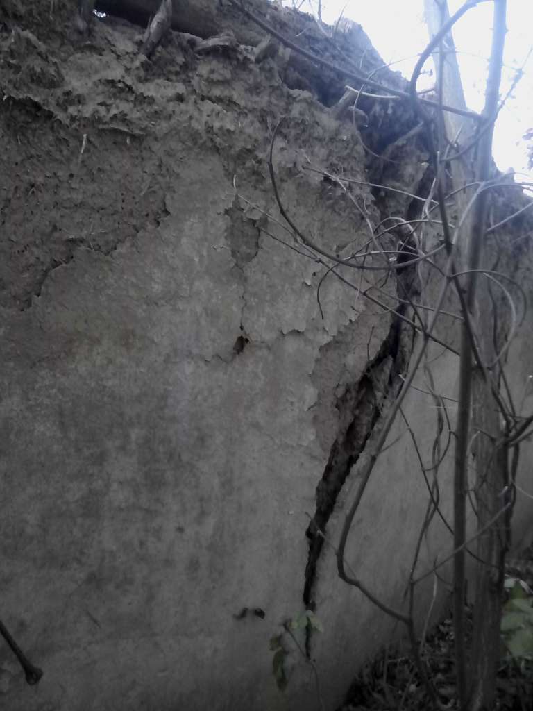 Закинуті місця села Васьківка - Васьківка