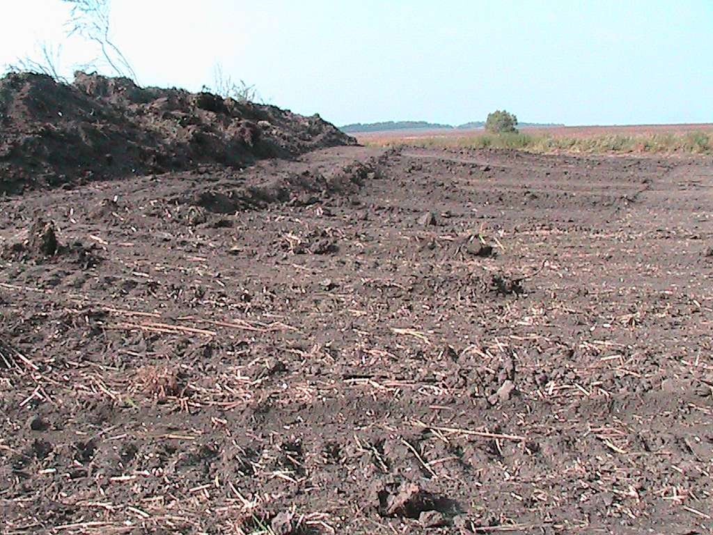 моє село - Klynyny