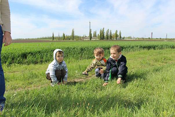 мій рідний край... - Комендантівка