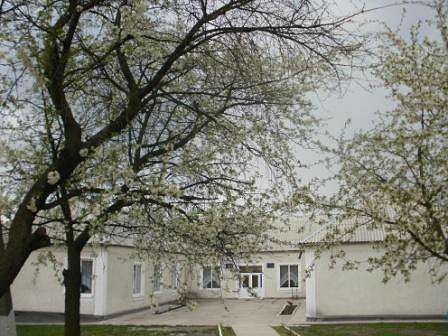 Луковицький НВК - Луковица