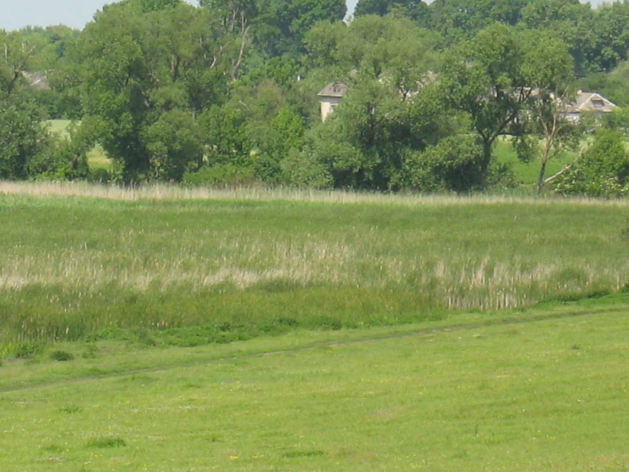 моє село - Klynyny