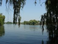 Градизьк з panoramio.com