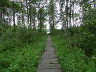 Турійськ з panoramio.com