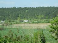 Дубове з panoramio.com
