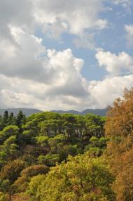 Підгородне з panoramio.com