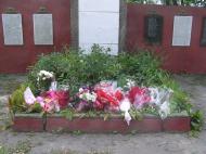 Павлиш з panoramio.com