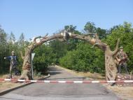 Василівка з panoramio.com