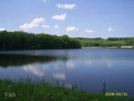 Лісна Поляна з panoramio.com