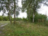 Вороніж - Останні фото