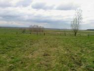 Чаниж - Останні фото