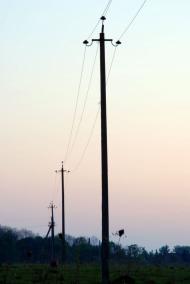 Дружба - Останні фото