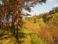 Кононча з panoramio.com