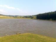 Лідихів з panoramio.com