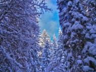 Великий Рожин з panoramio.com