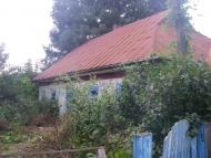 Жабокричка - Останні фото