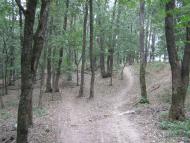 Лісна Поляна з panoramio.com