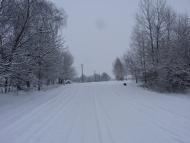 Травневе з panoramio.com